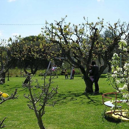 Agriturismo Arangea 레퀼레 외부 사진